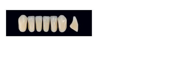 TENNER FRONT UIL C2 ARTEGRAL LIFE