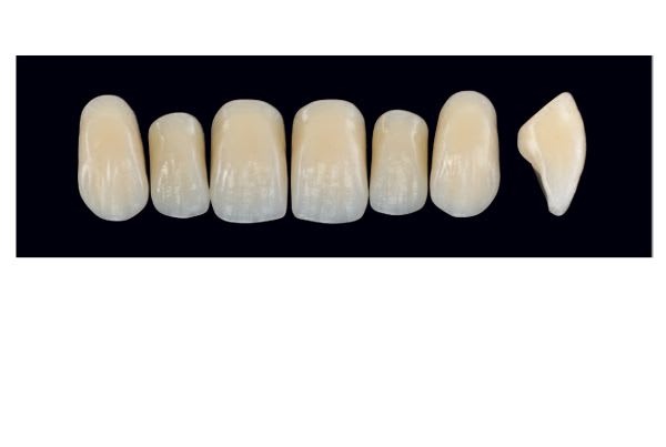 TENNER FRONT IM A3 ARTEGRAL LIFE