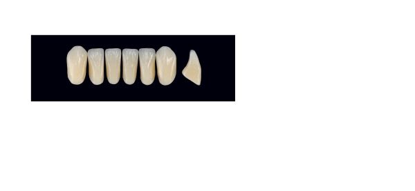 TENNER FRONT UIM D4 ARTEGRAL LIFE