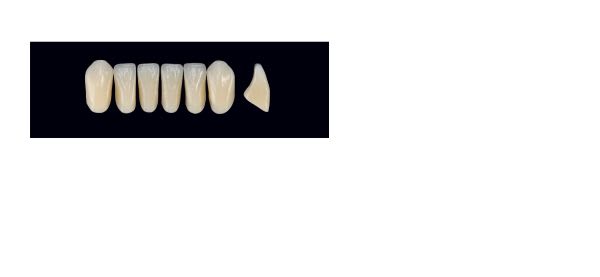 TENNER FRONT UIS B2 ARTEGRAL LIFE