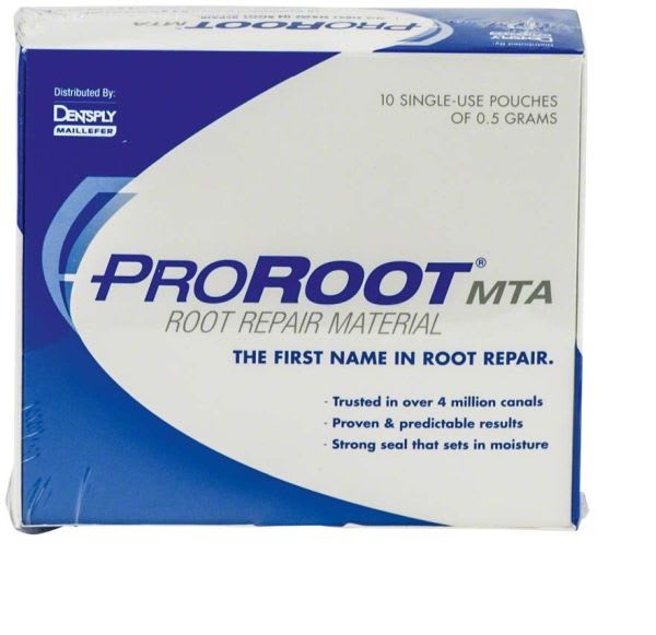 PRO ROOT MTA 10 X 0.5 GRAM A 0405 MAILLEFER