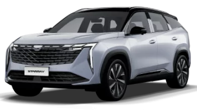 Geely New Starray