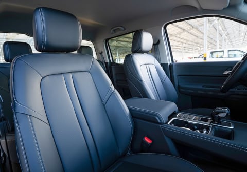 Grand Avenue EV 4x2 - vista 3