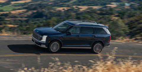 PALISADE Hybrid - vista 2