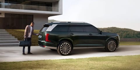 PALISADE Hybrid - vista 3