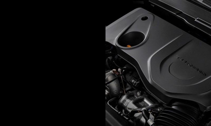 Libertad sin límites