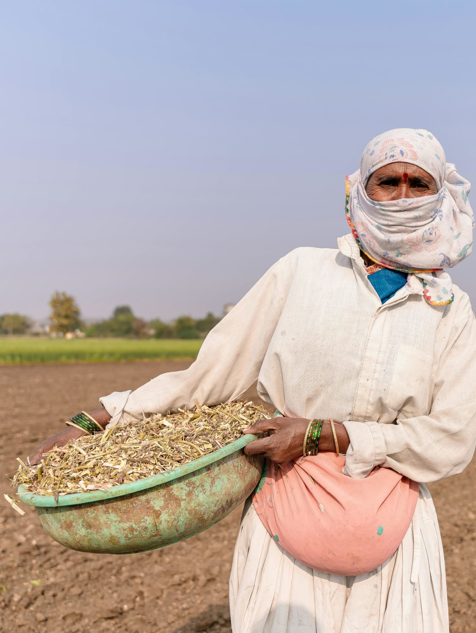 Hamilton: The Revolution