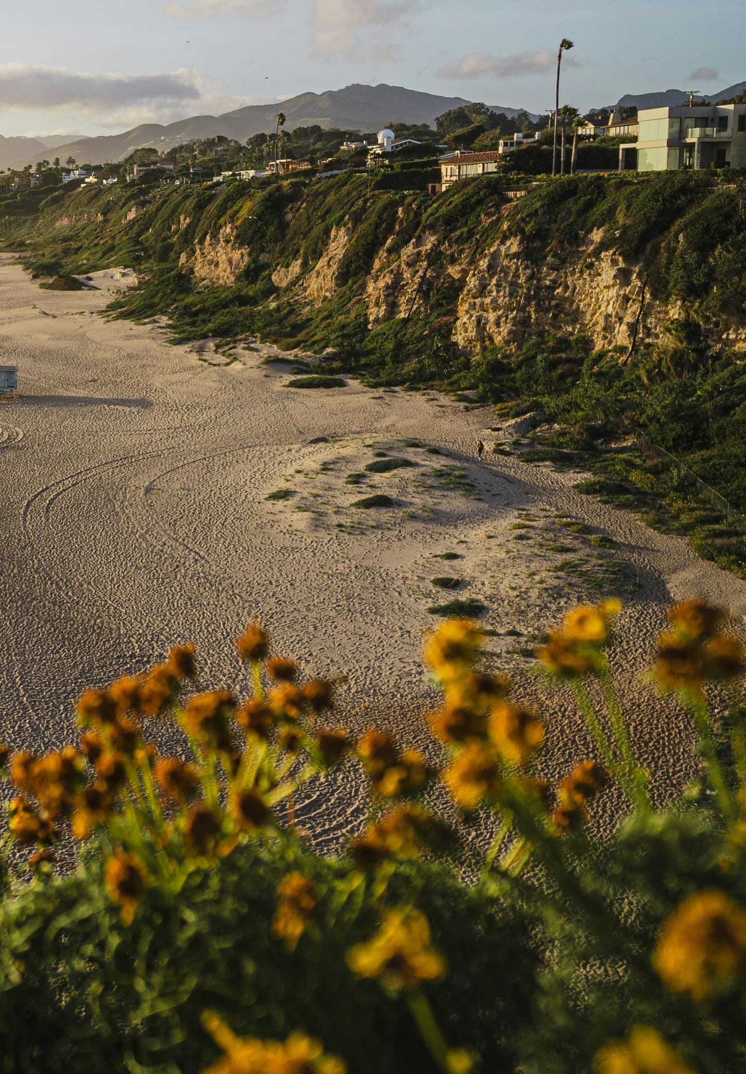 Brighter Than the Sun