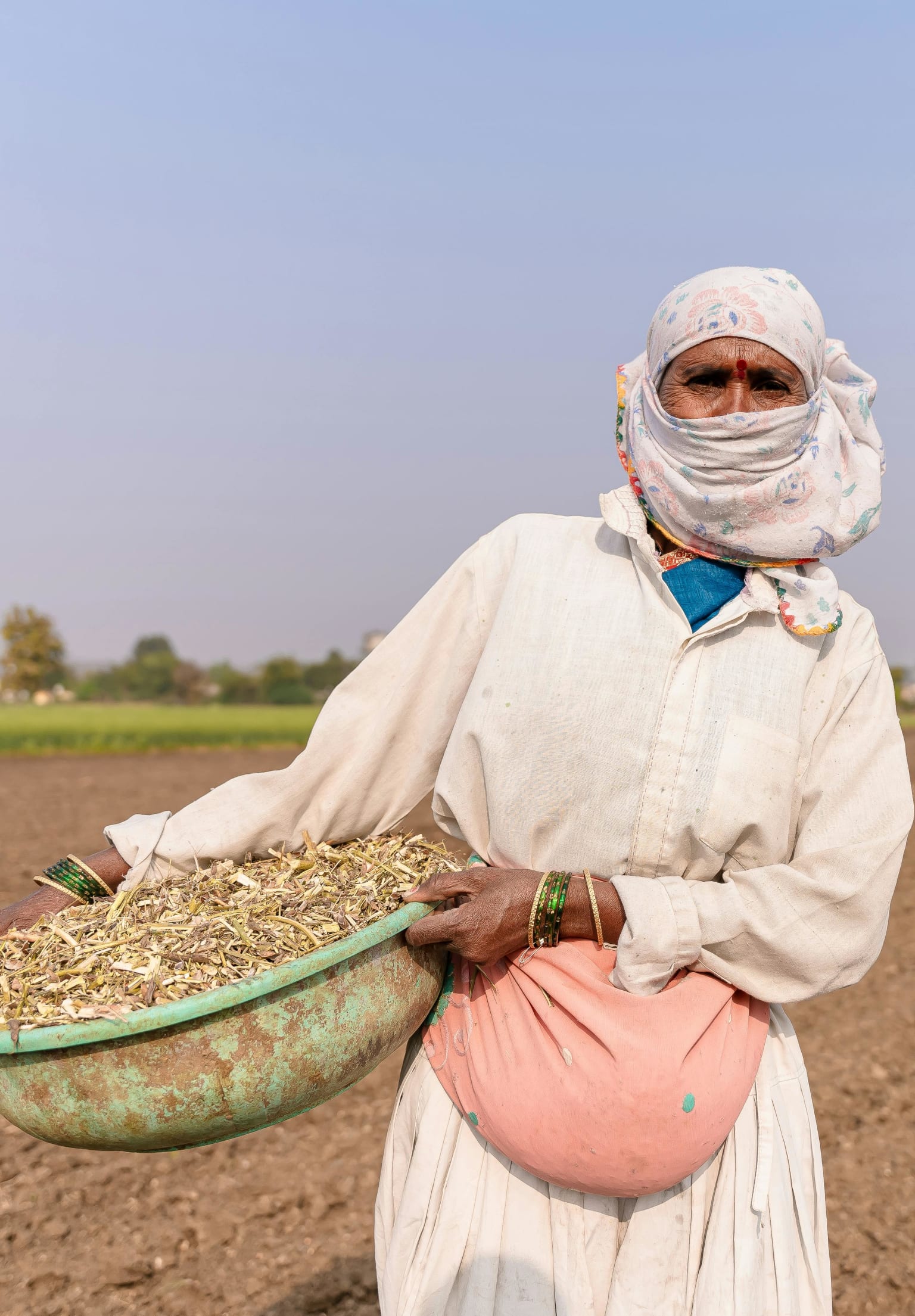 Hamilton: The Revolution