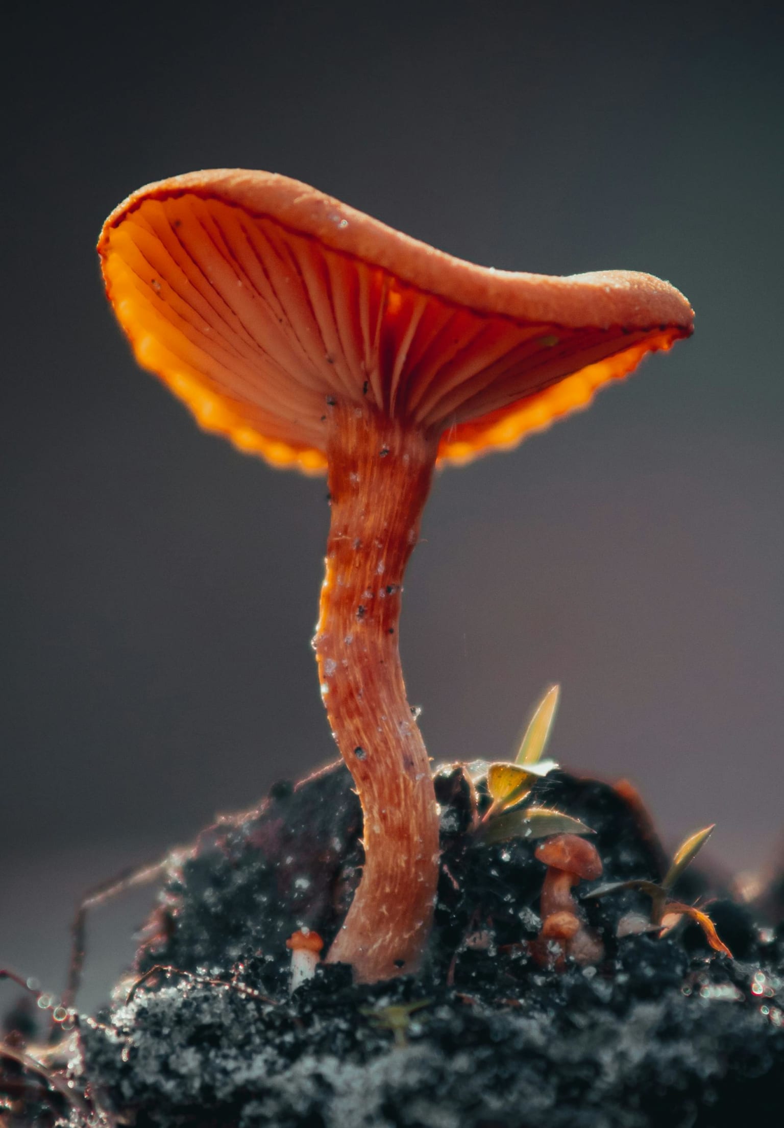 Tiny Habits: The Small Changes That Change Everything