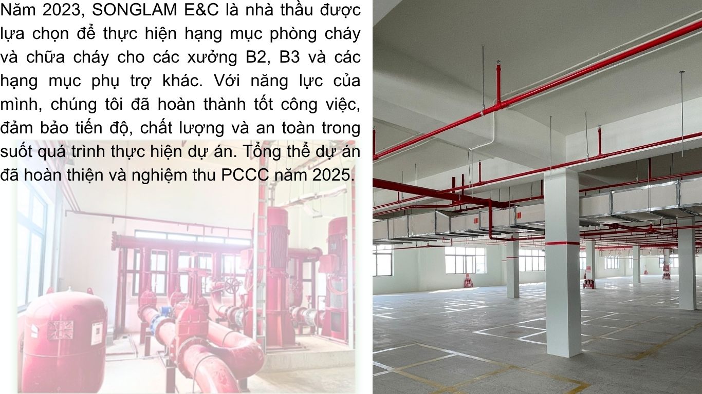 3. juteng noi dung edited.jpg