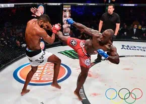 representacion visual de Mixed Martial Arts (MMA)