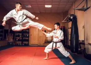 representacion visual de Karate Kyokushin