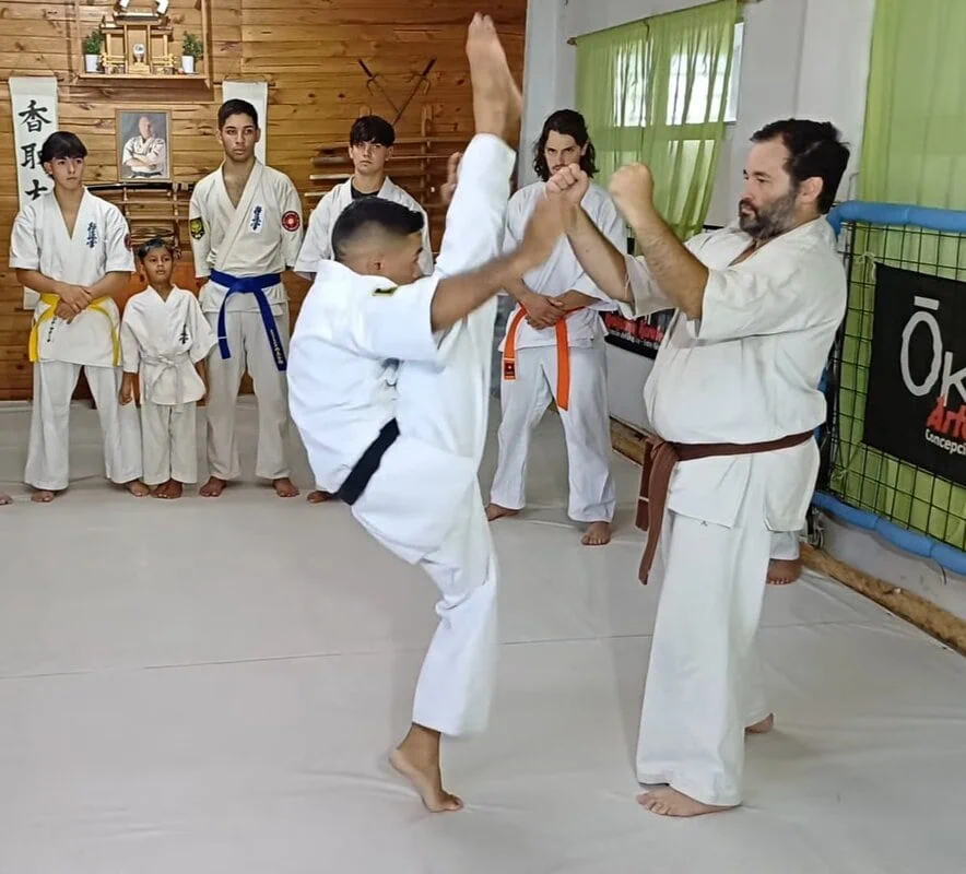 Imagen de Kyokushin Karate