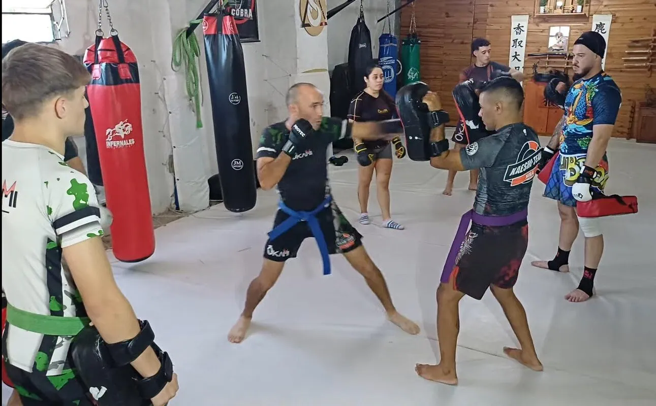 Imagen de Mixed Martial Arts (MMA)