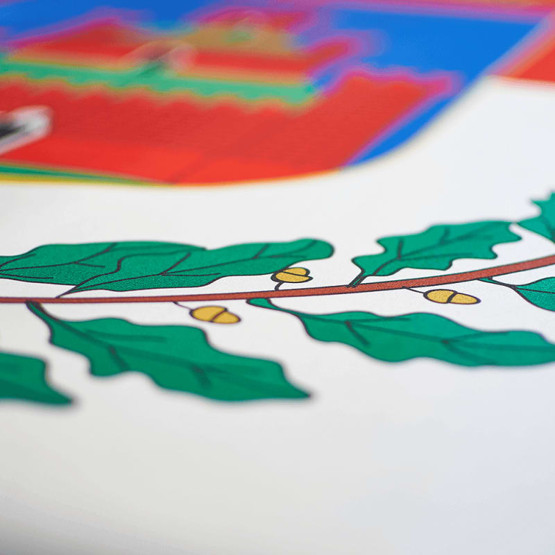bandiere bifacciali personalizzate partricolare stampa