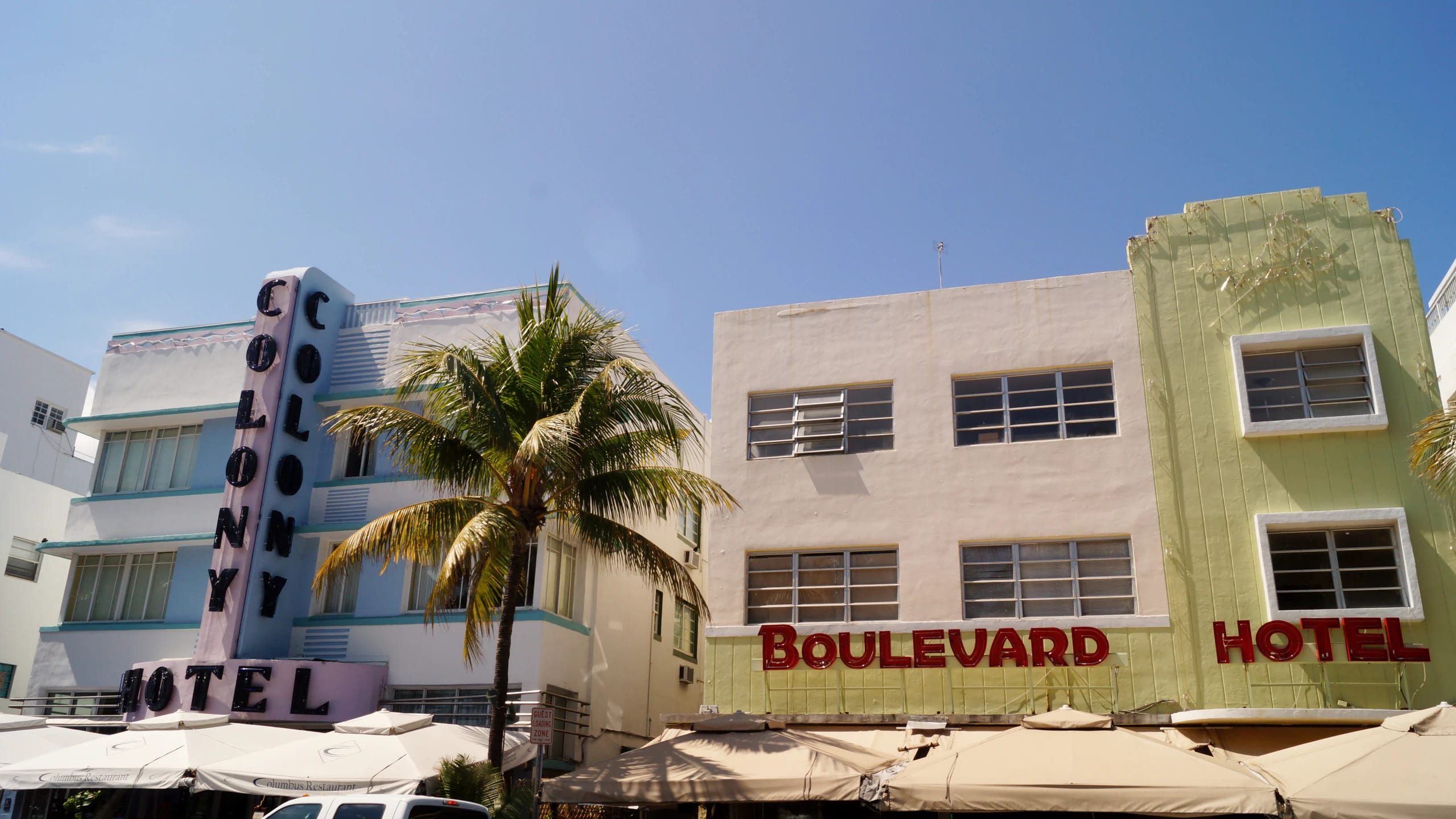 Pastel art deco hotels and a palm tree on Ocean Drive