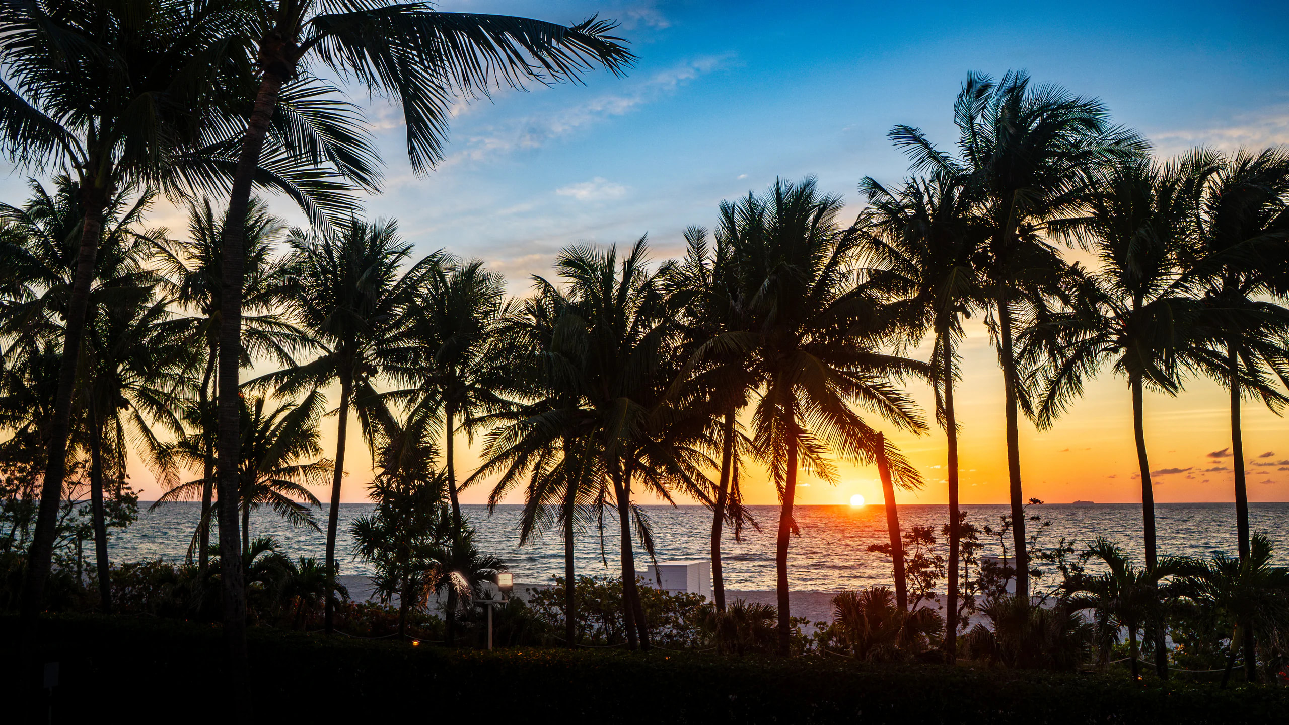 Palm trees silhouetted against an orange sunrise