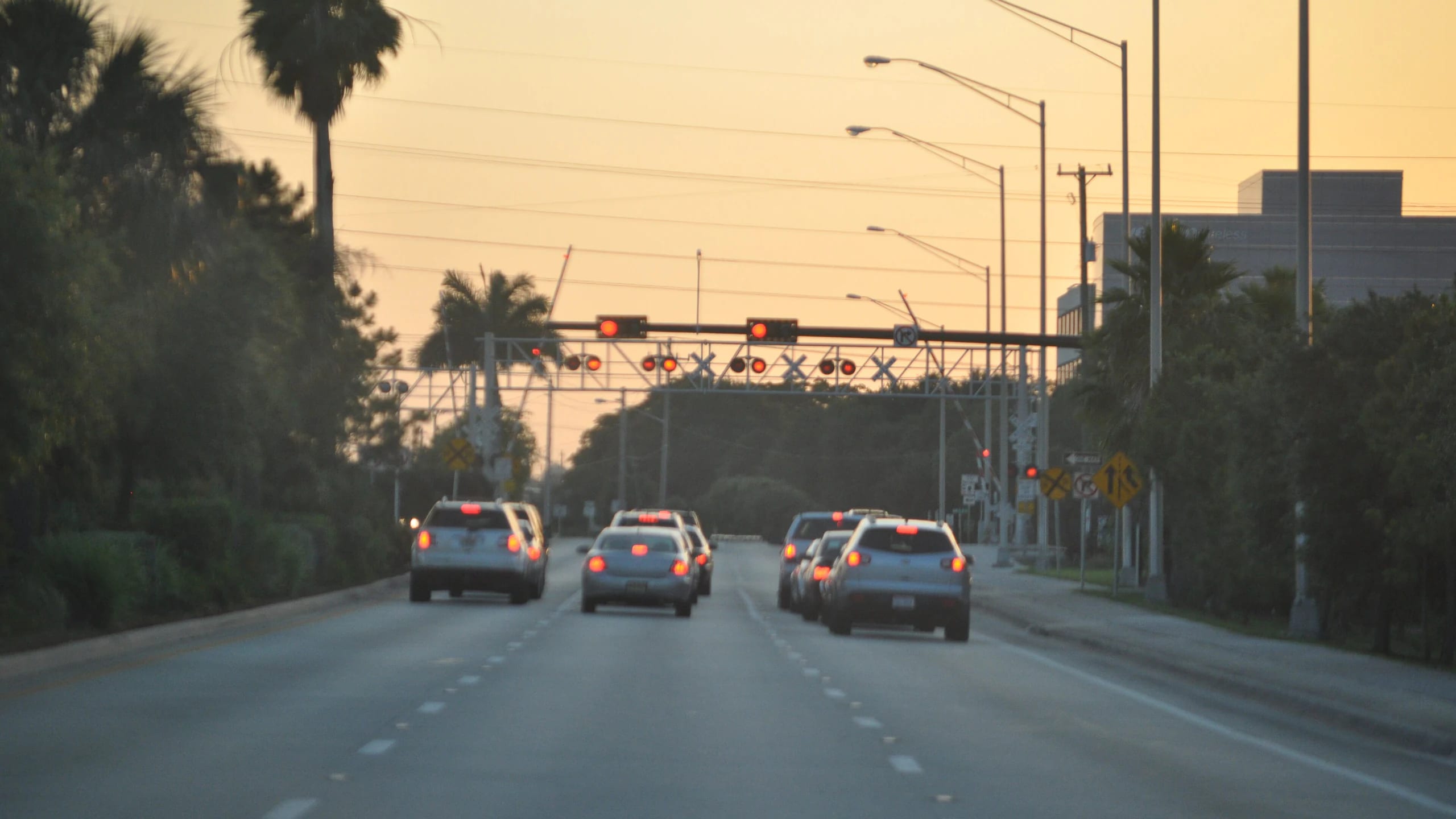 Cars driving down a palm-lined road at sunset