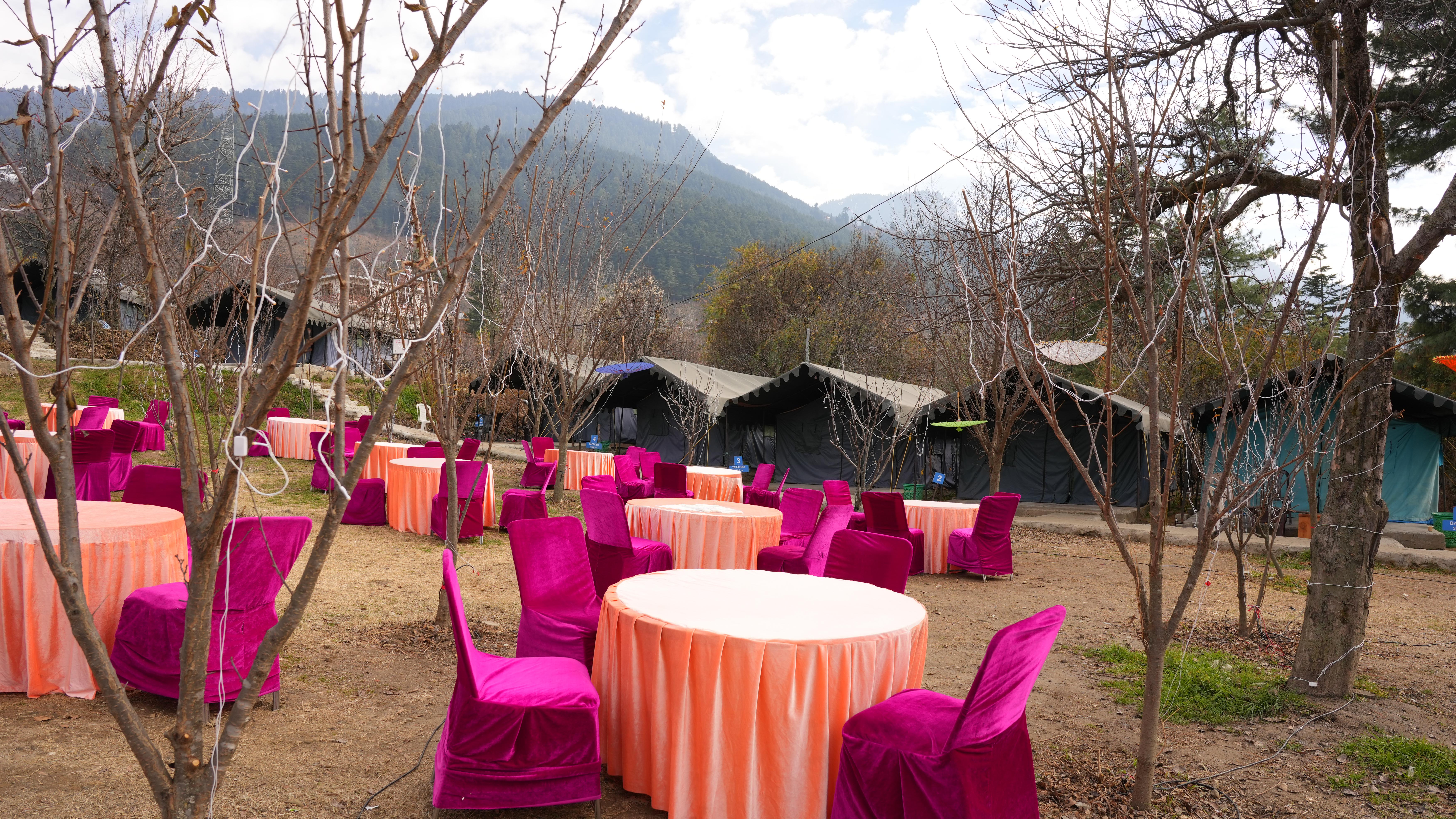 Excitement on the zipline