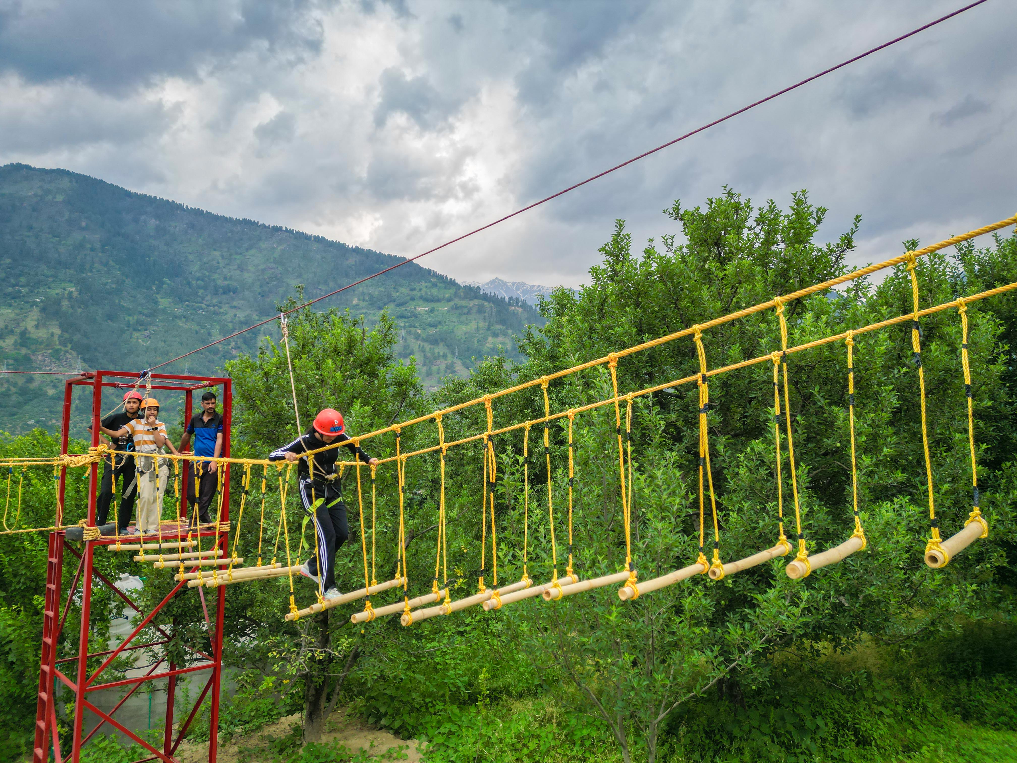 Peaceful nature walk through a dense forest