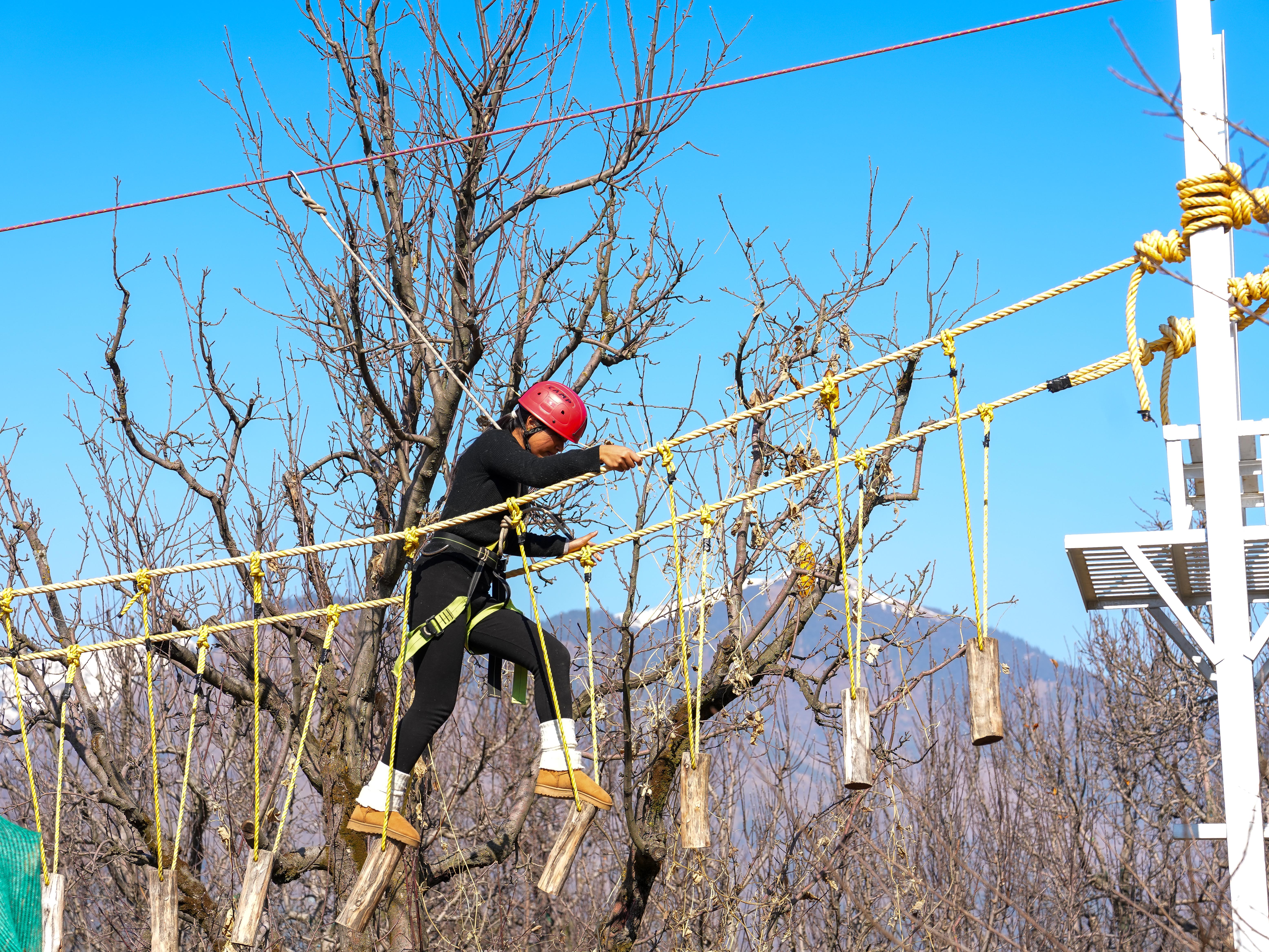 A vibrant camping site at dusk