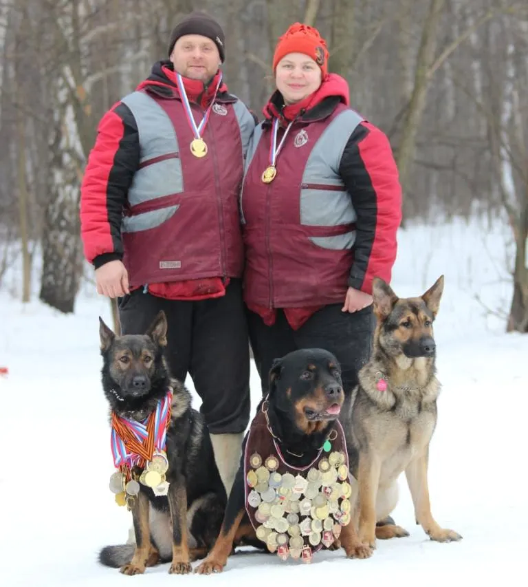 Кучета по време на тренировка в професионален кинологичен център