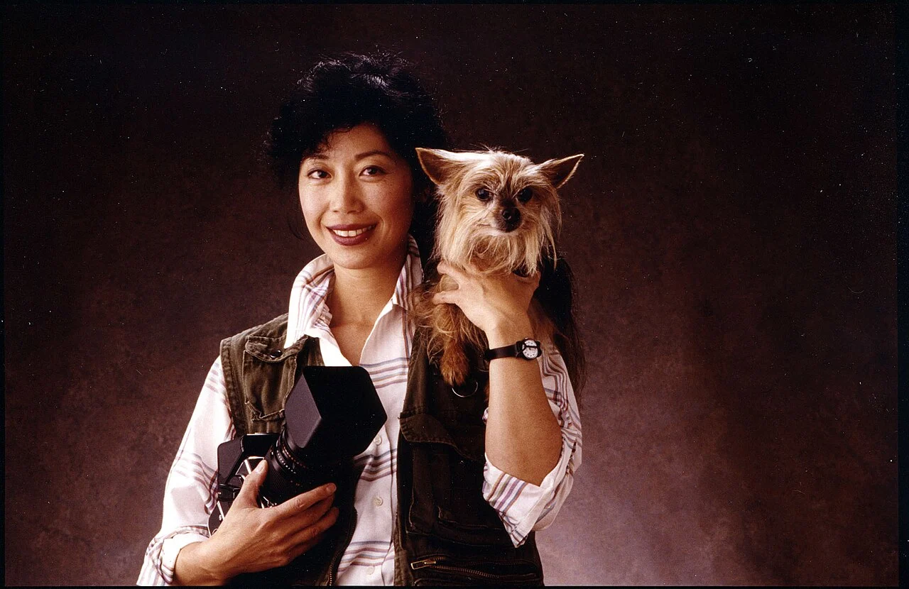 Жена държи йоркширски териер — правилното хранене поддържа здравето на малките породи