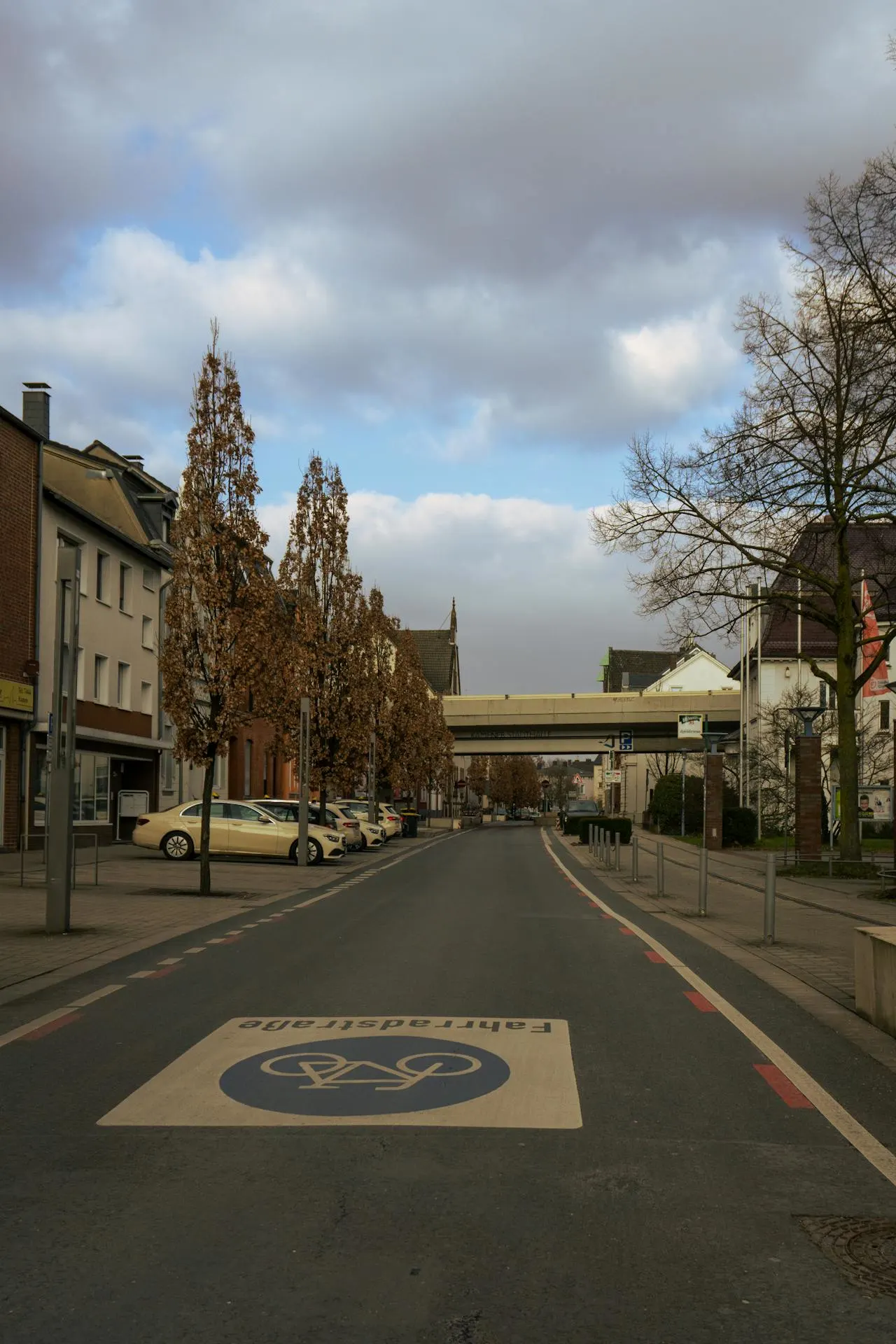 Здрава немска овчарка в зряла възраст демонстрира добра физическа форма