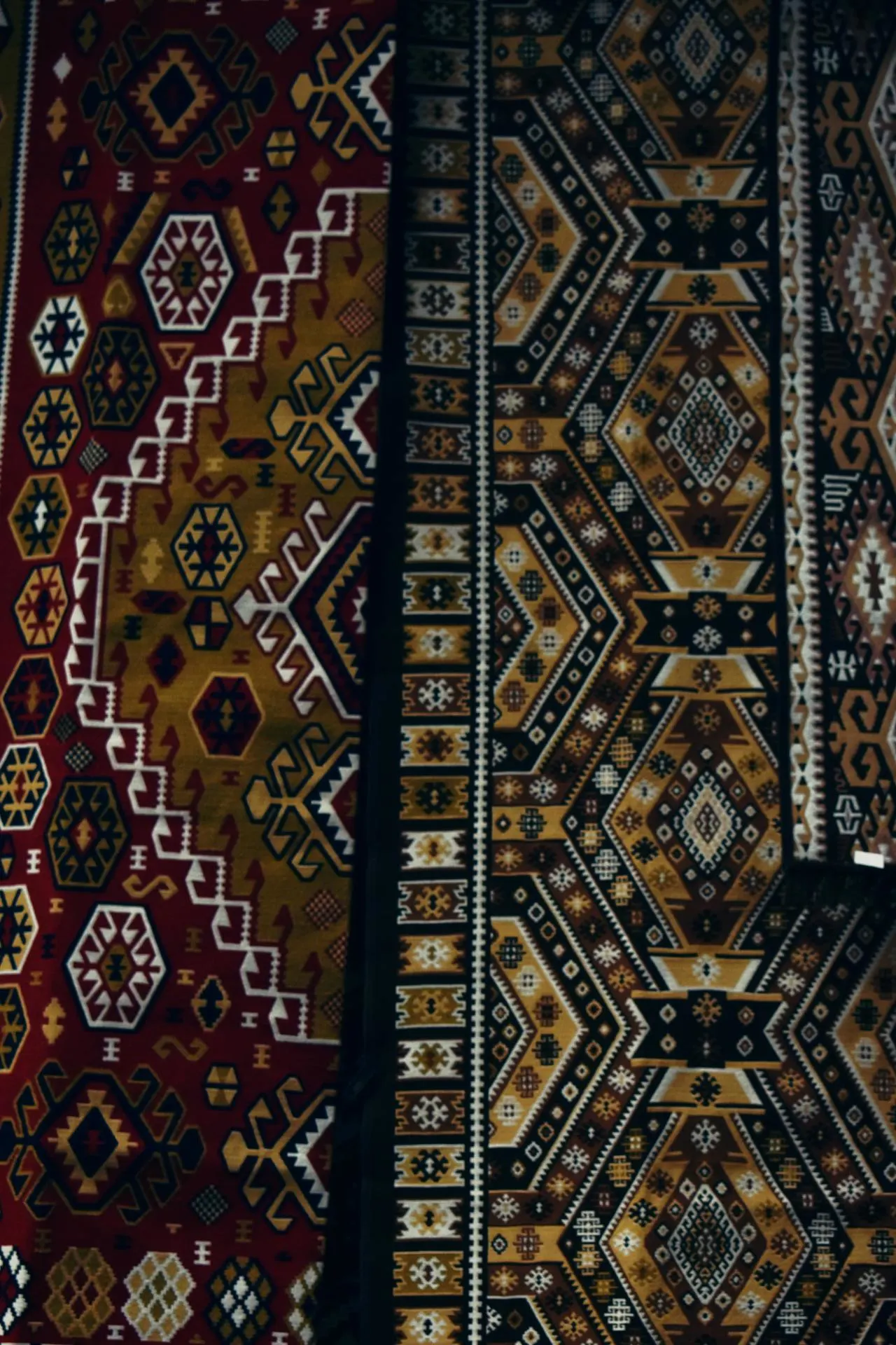 Сибирско хъски с двуслойна козина