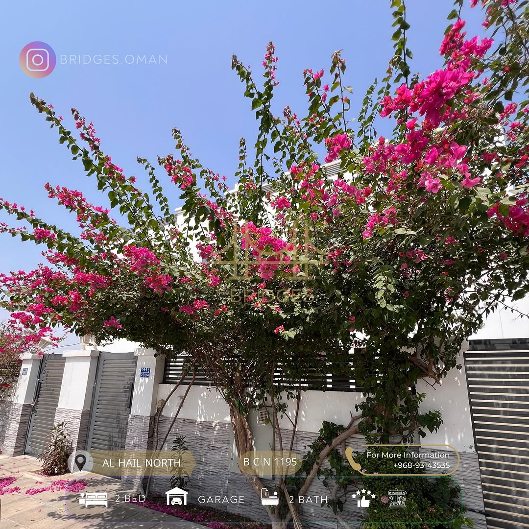 apartment in Al Hayl North - 1