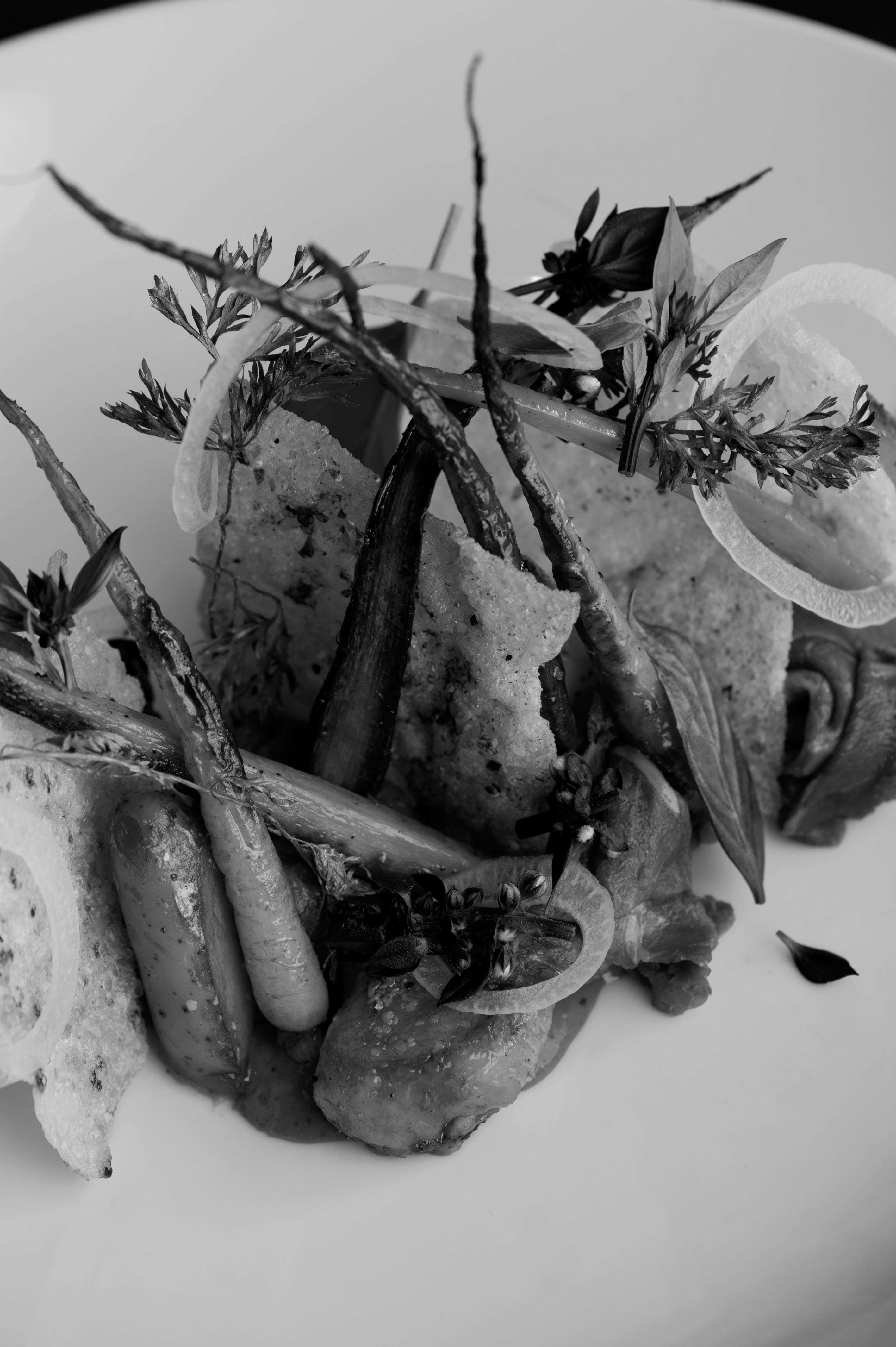 Roasted carrots, fine dining preparation