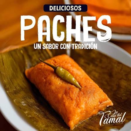 Aprende a hacer Paches