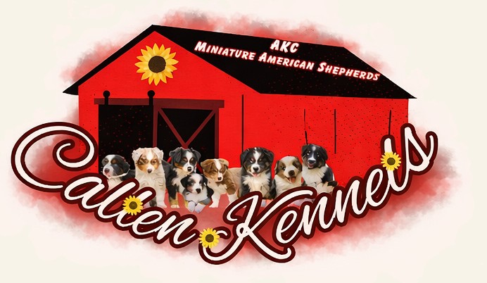 Callen Kennels