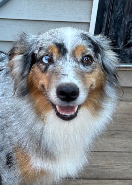 Michie (Retired)
