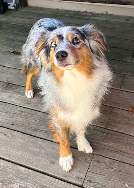 Michie (Retired) photo 2