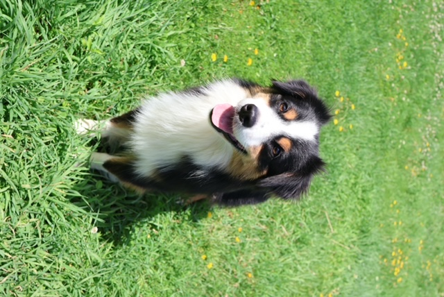 3. Polly photo 2