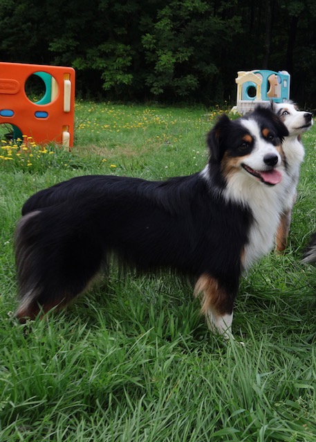 3. Polly photo 3