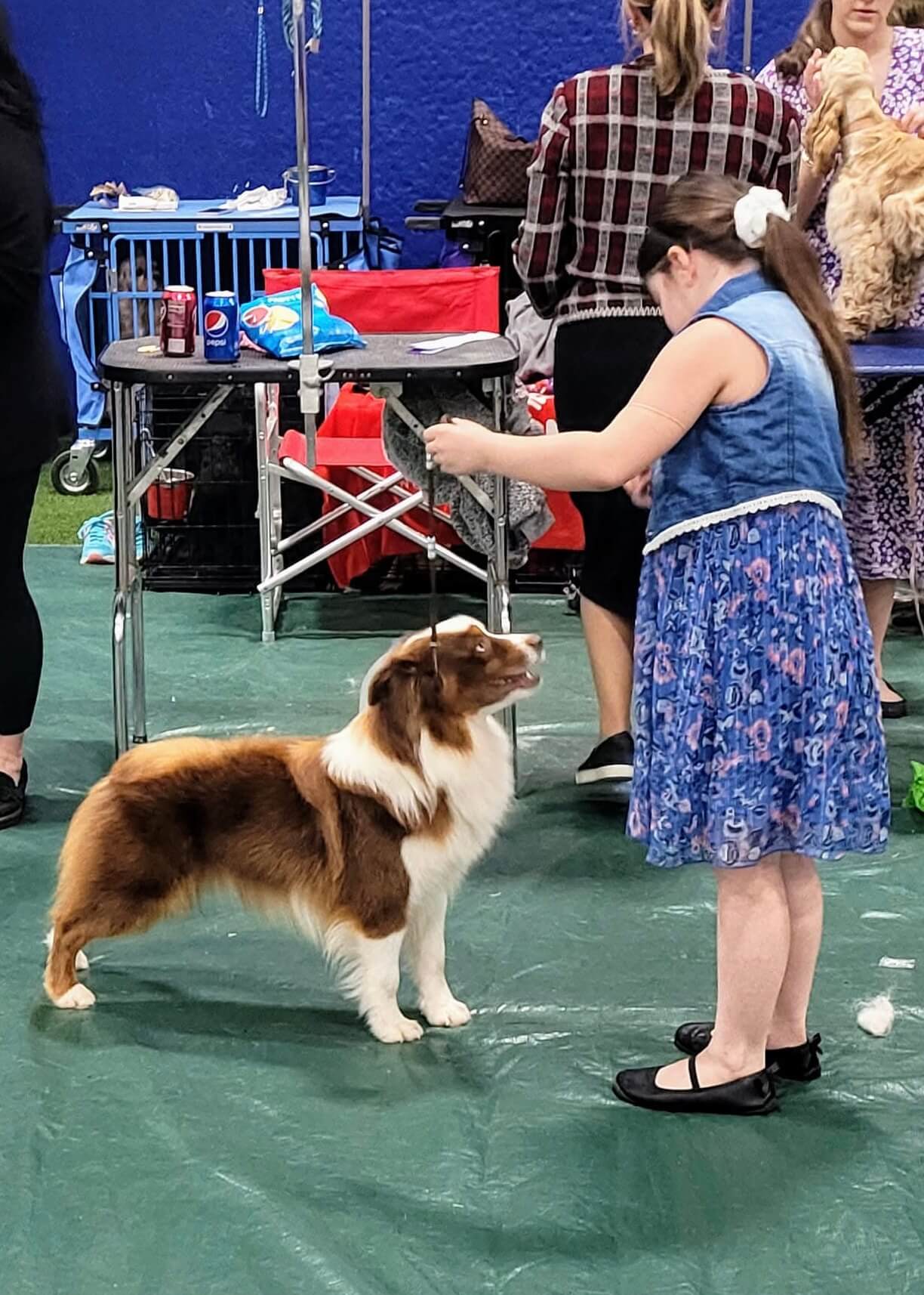 Sandz (Retired) photo 2