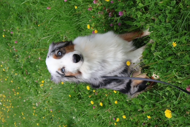 X Available Adult - Linnie photo 1