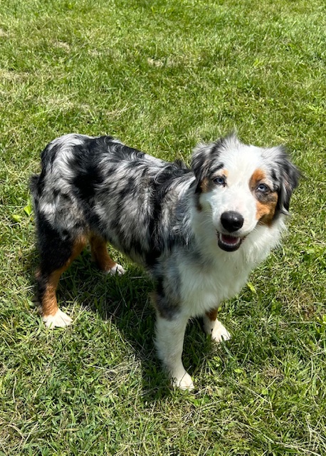 X Available Adult - Linnie photo 2