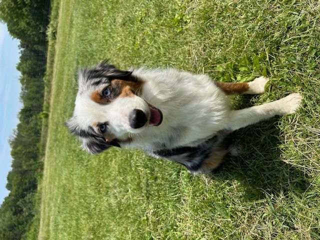 X Available Adult - Linnie photo 4