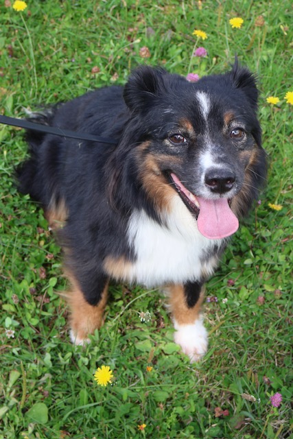 X Available Adult - Salem photo 1