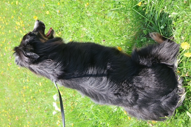 X Available Adult - Salem photo 2