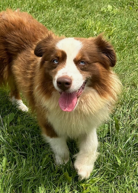 X Rehome - Sandz photo 1