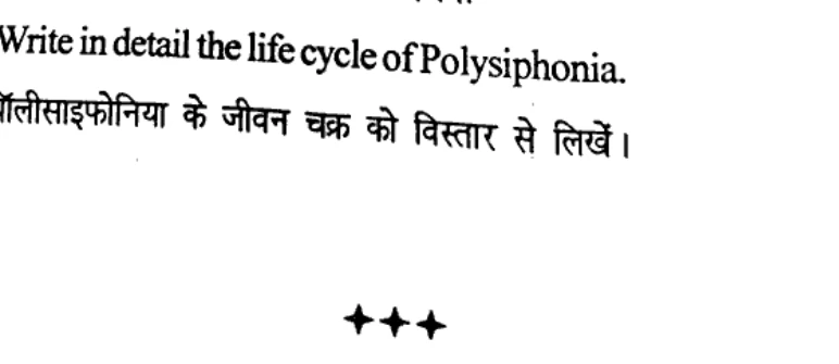 Diagram for Question