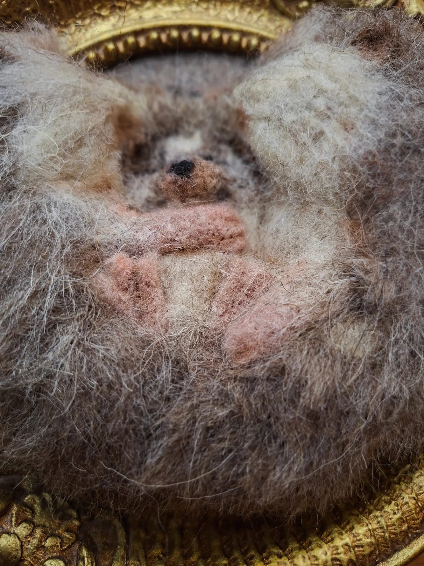 Needle felted hedgehog family
