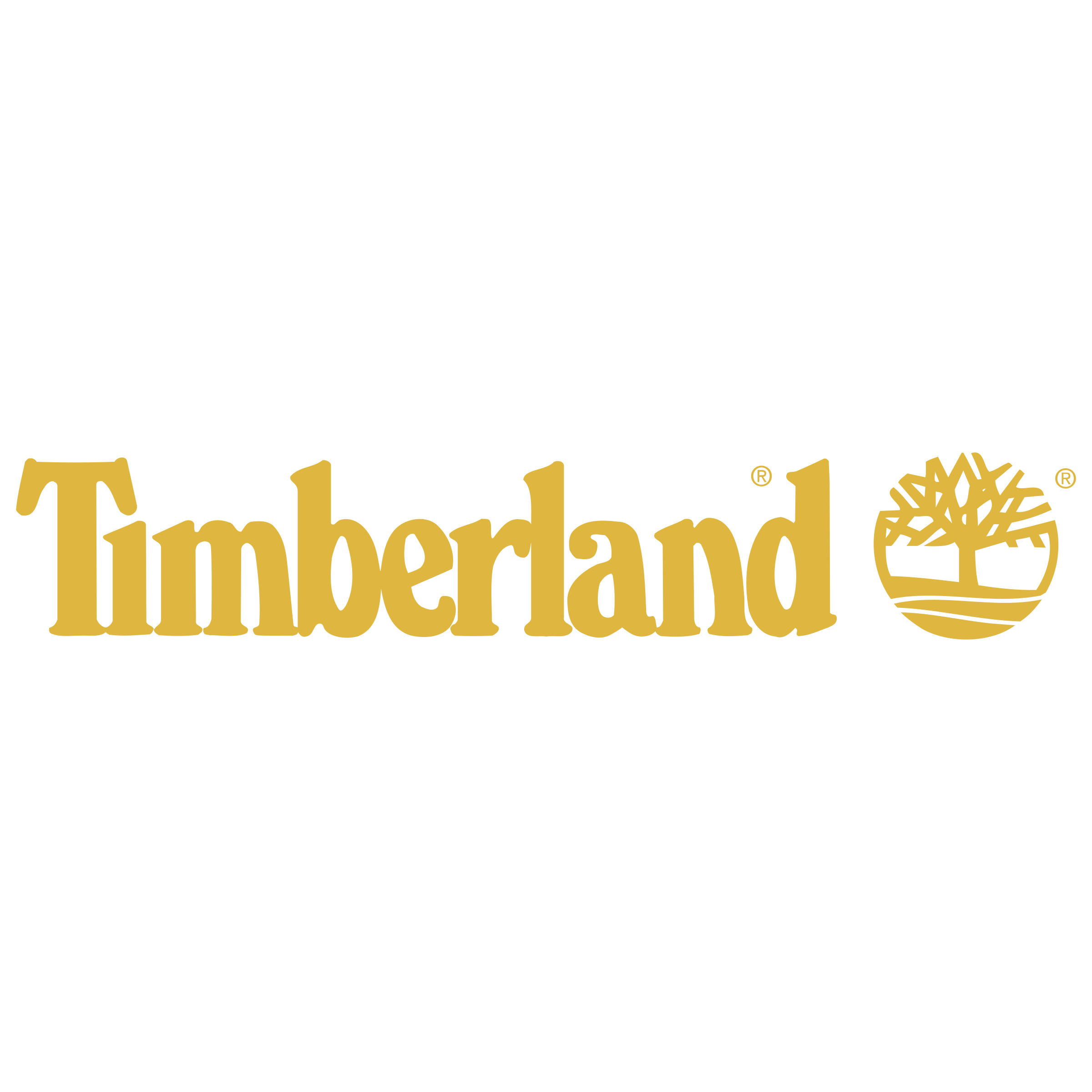 Timberland
