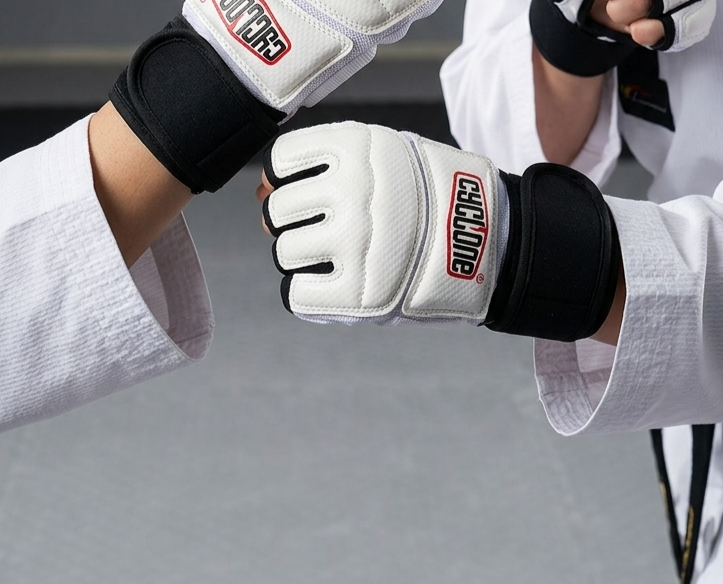 Taekwondo Eldiven