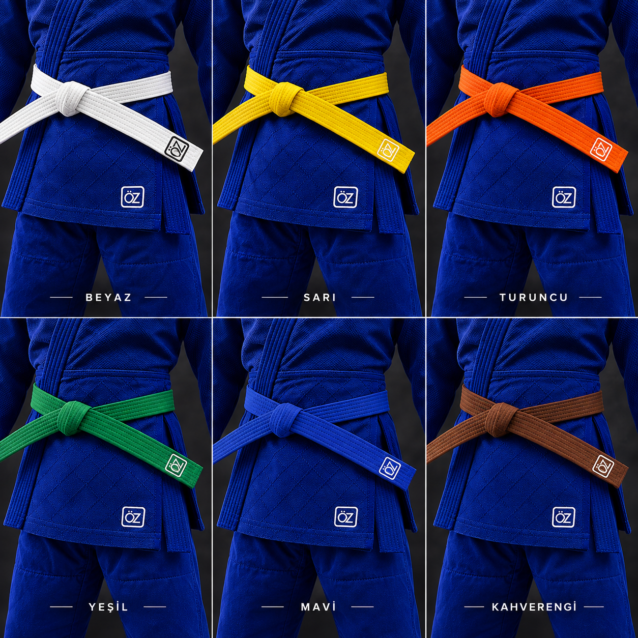 Judo Kemeri